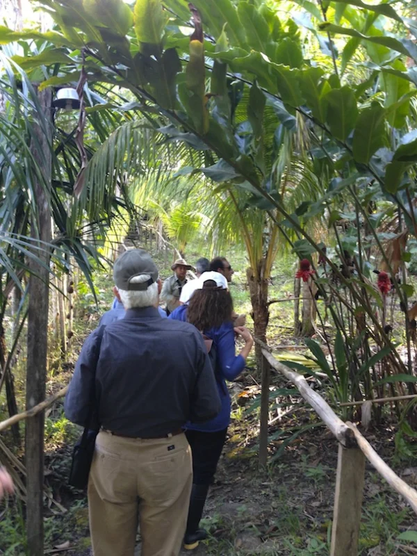4 Days / 3 Nights On The Delfin I Luxury Amazon River Cruise 3 Delfin hike2