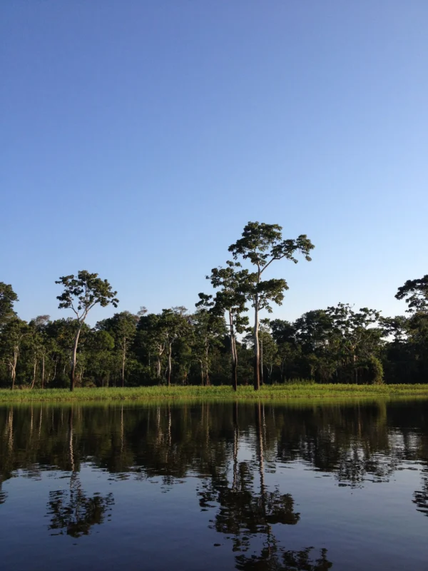 4 Days / 3 Nights On The Delfin I Luxury Amazon River Cruise 6 Delfin riverbank