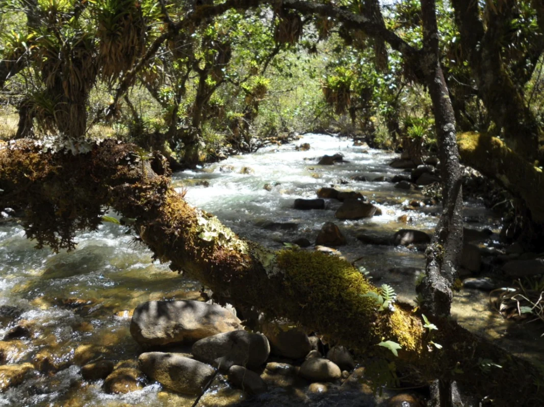 llanganuco281