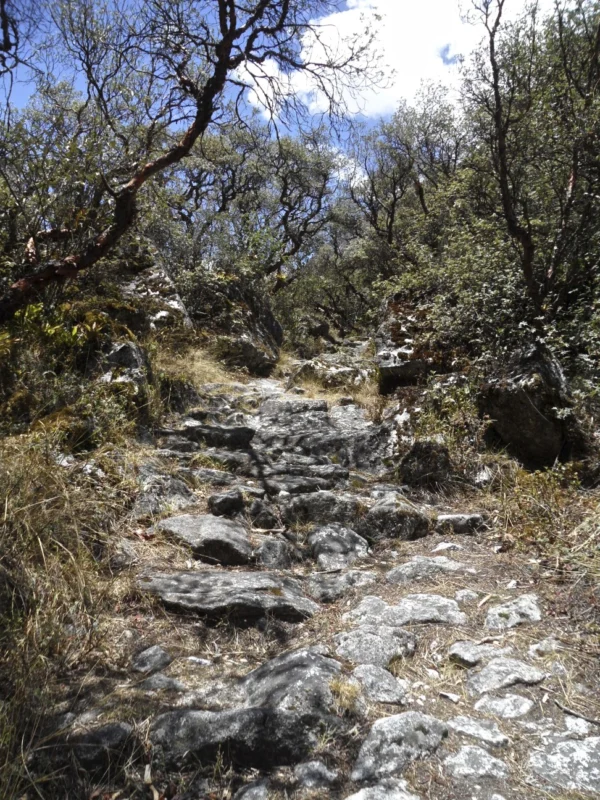 llanganuco30