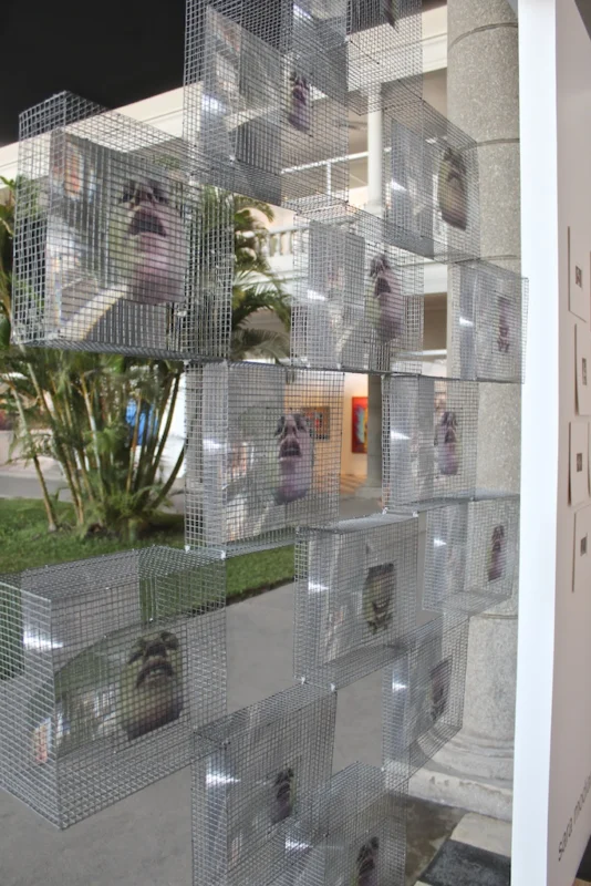 mariano ugalde art lima 8