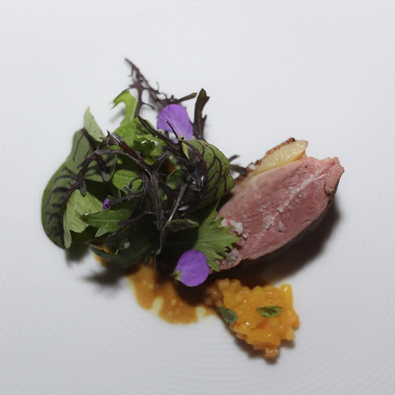 A Gourmet Experience At Casa Aliaga In The Midst Of Colonial Lima 4 Magret de Pato