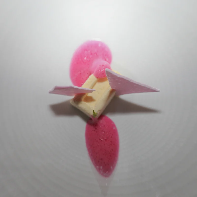 A Gourmet Experience At Casa Aliaga In The Midst Of Colonial Lima 3 Semifredo de maracuya