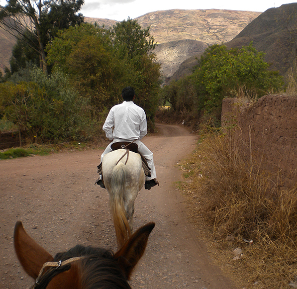 horse riding sacred valley