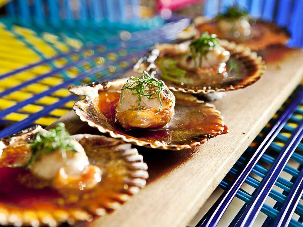 amaz conchas blogfeatured