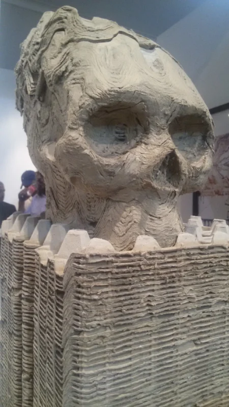 skull egg carton close up