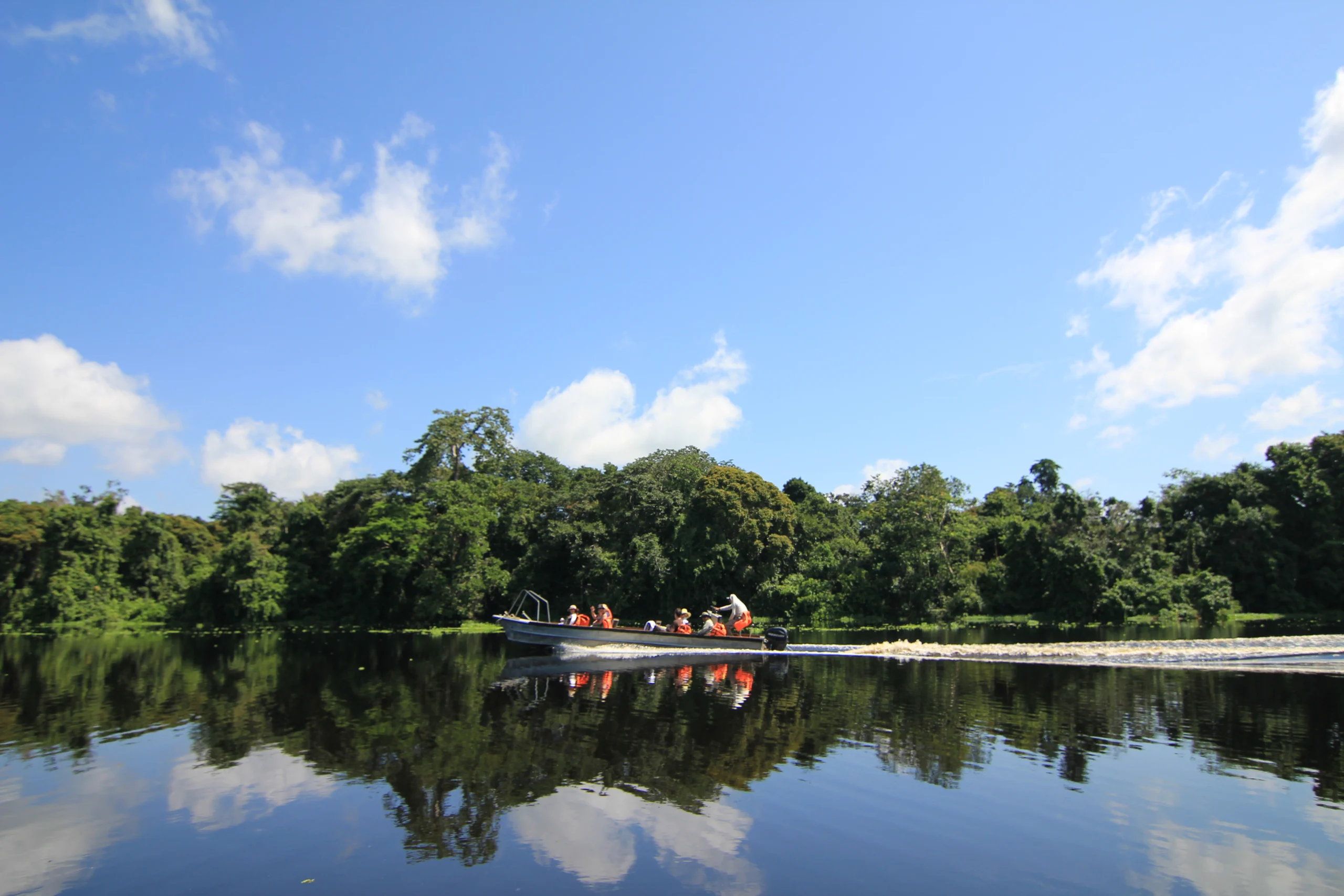 How To Plan A Trip To The Amazon: Our Expert Guide 2 Amazon Jaguar