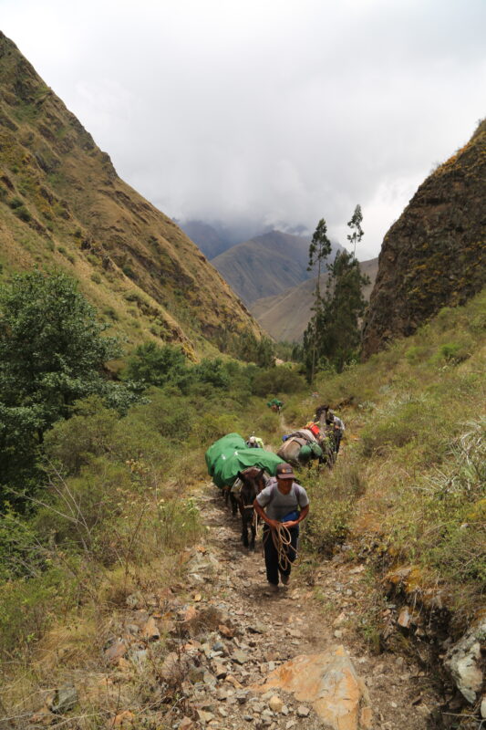 Inca Trail 