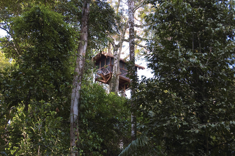 reserva amazonica treehouse