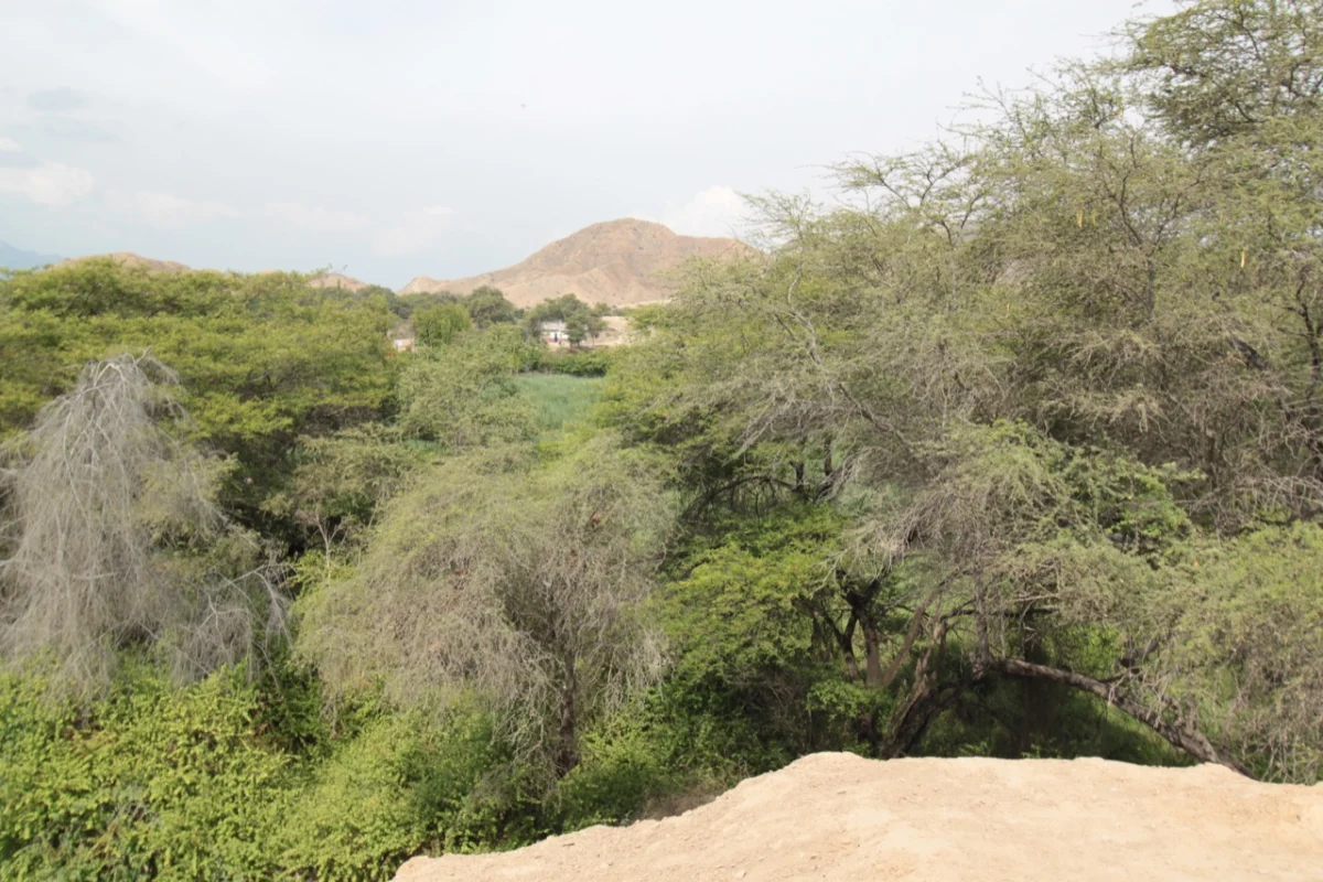 Huaca Rajada 2