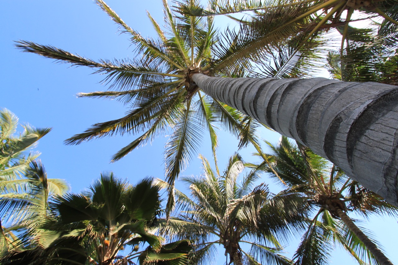 Best Luxury Beach Hotels in Mancora