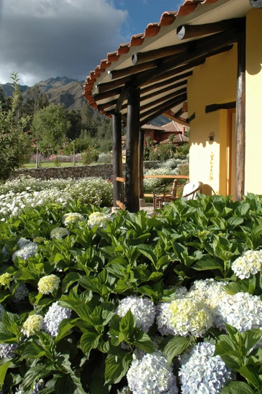 Giving Back In The Sacred Valley: Asociación Sol Y Luna 8 solyluna garden