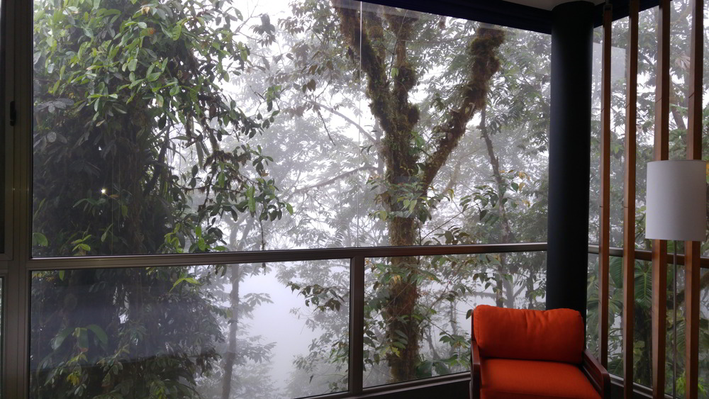 Mashpi Lodge Ecuador - view of the forest from a room