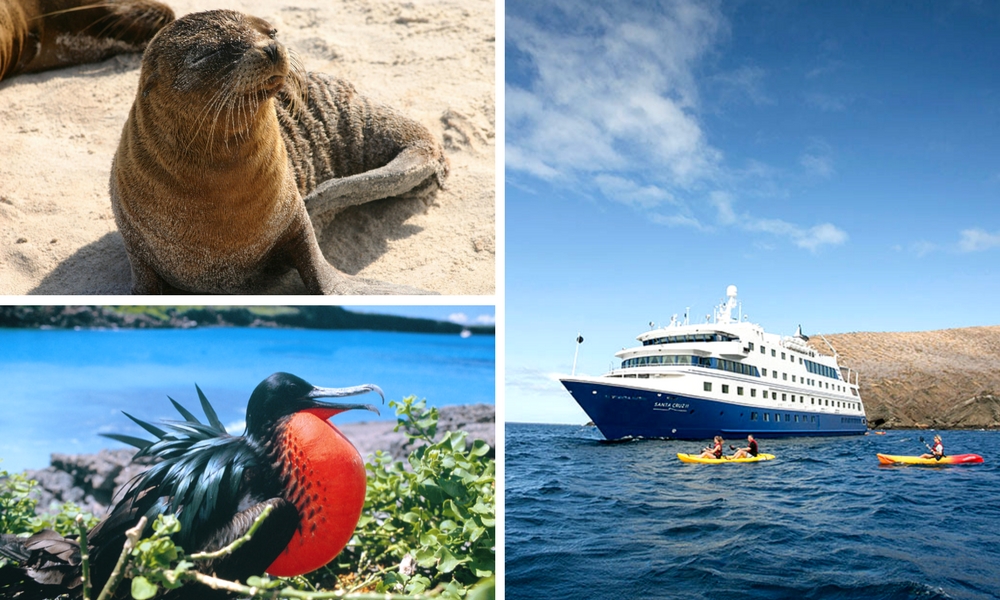 Santa Cruz Ii Review: Galapagos Cruise 2 Santa Cruz II review overview II