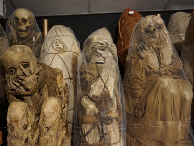 A Guide To The Best Specialty Museums In Peru 14 Leymebamba museum2