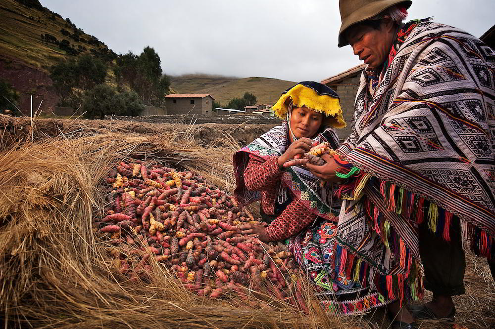 Peru culinary experience 4