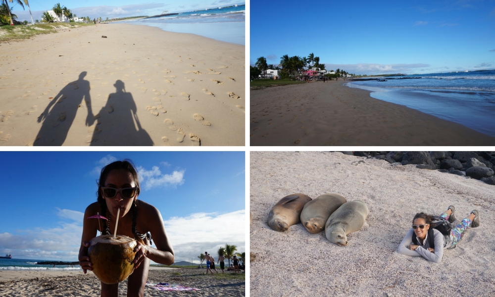 Luxury Galapagos Honeymoon: A Joint Adventure 6 Luxury Galapagos honeymoon - beach time