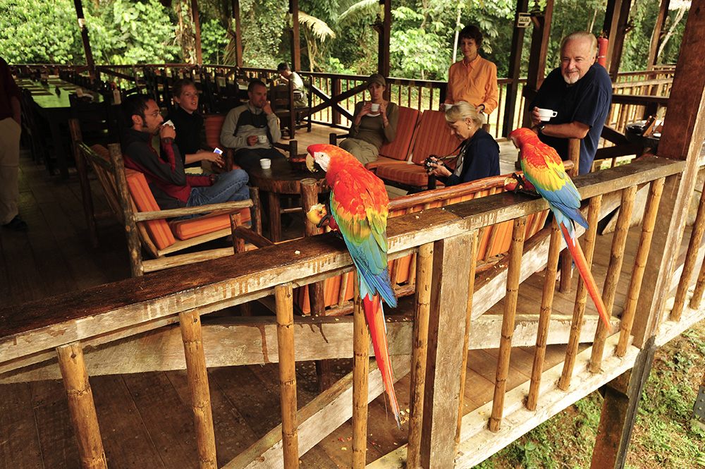 tambopata-research-center-wildlife luxury amazon lodge