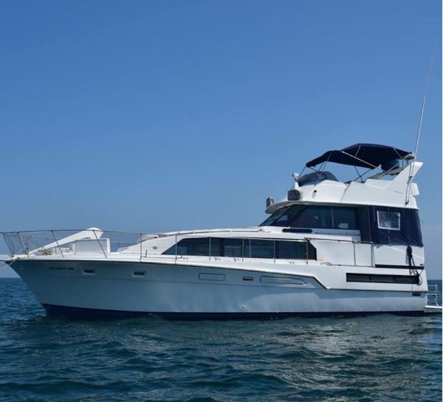 aracari whale watching boat