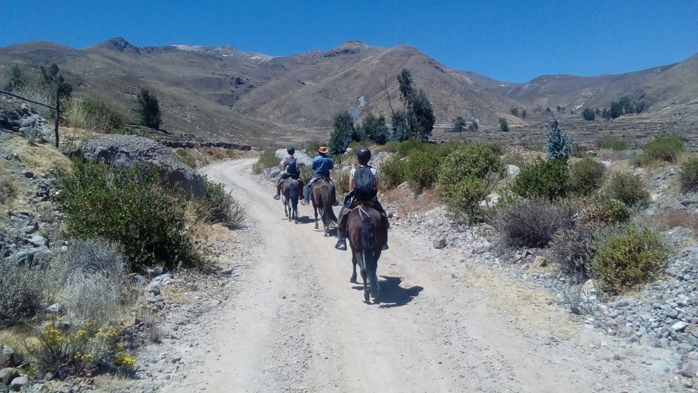 horseback ride in colca walking