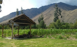 The Top Peru Culinary Tour Experiences 12 culinary tour peru with aracari (5)