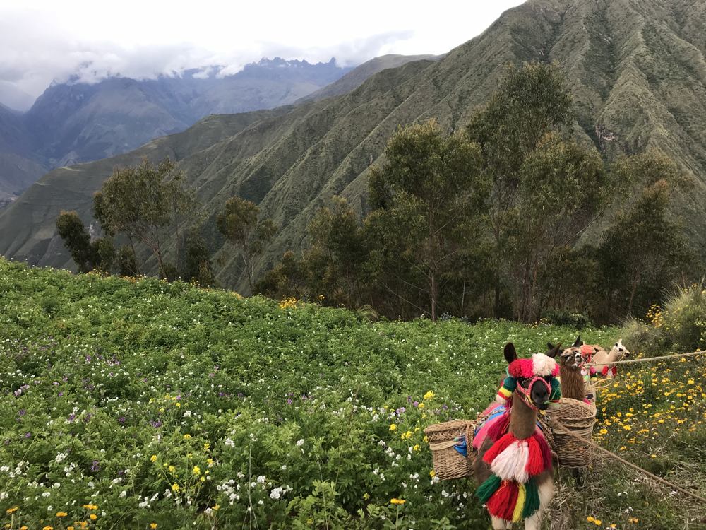 cultural peru hike 1