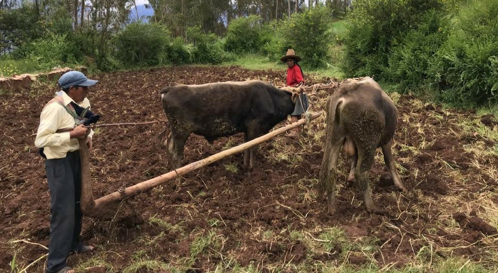 short sacred valley hike (3)