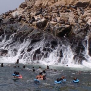 palomino islands e1547769468548