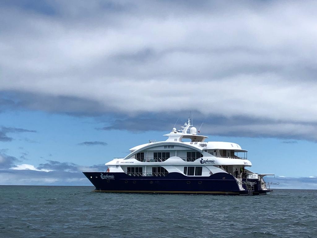 Marisol'S Adventure In The Galapagos 3 aracari galapagos boat endemic
