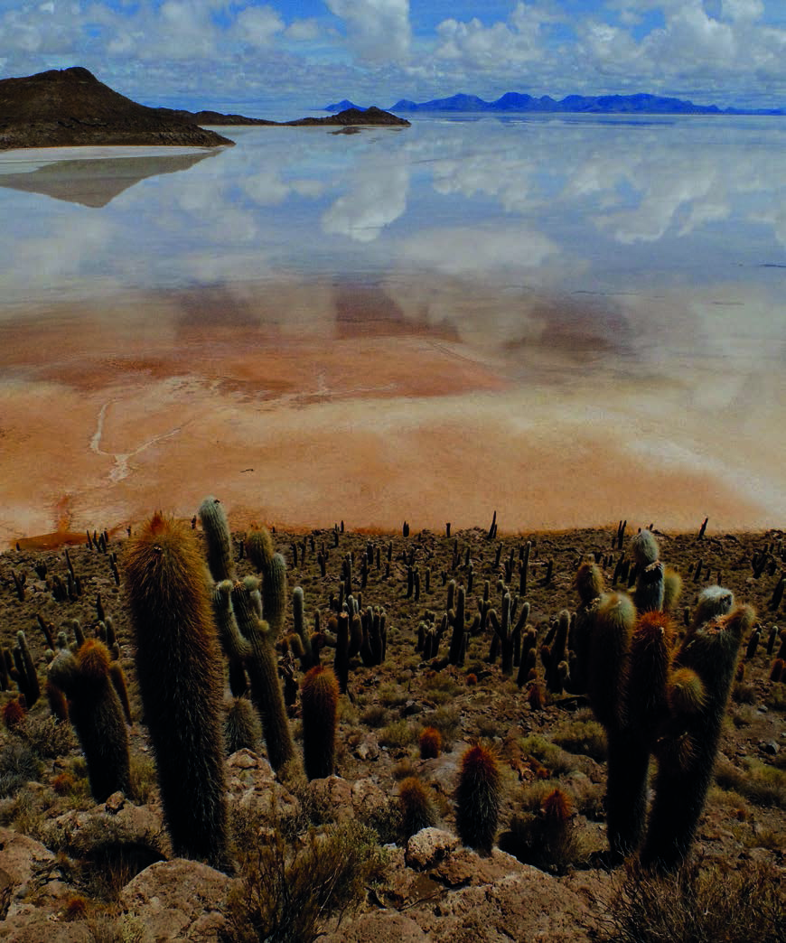 Your Guide To Navigating The Salar De Uyuni 3 Kachi Lodge Public 5 Bolivia Uyuni Aracari