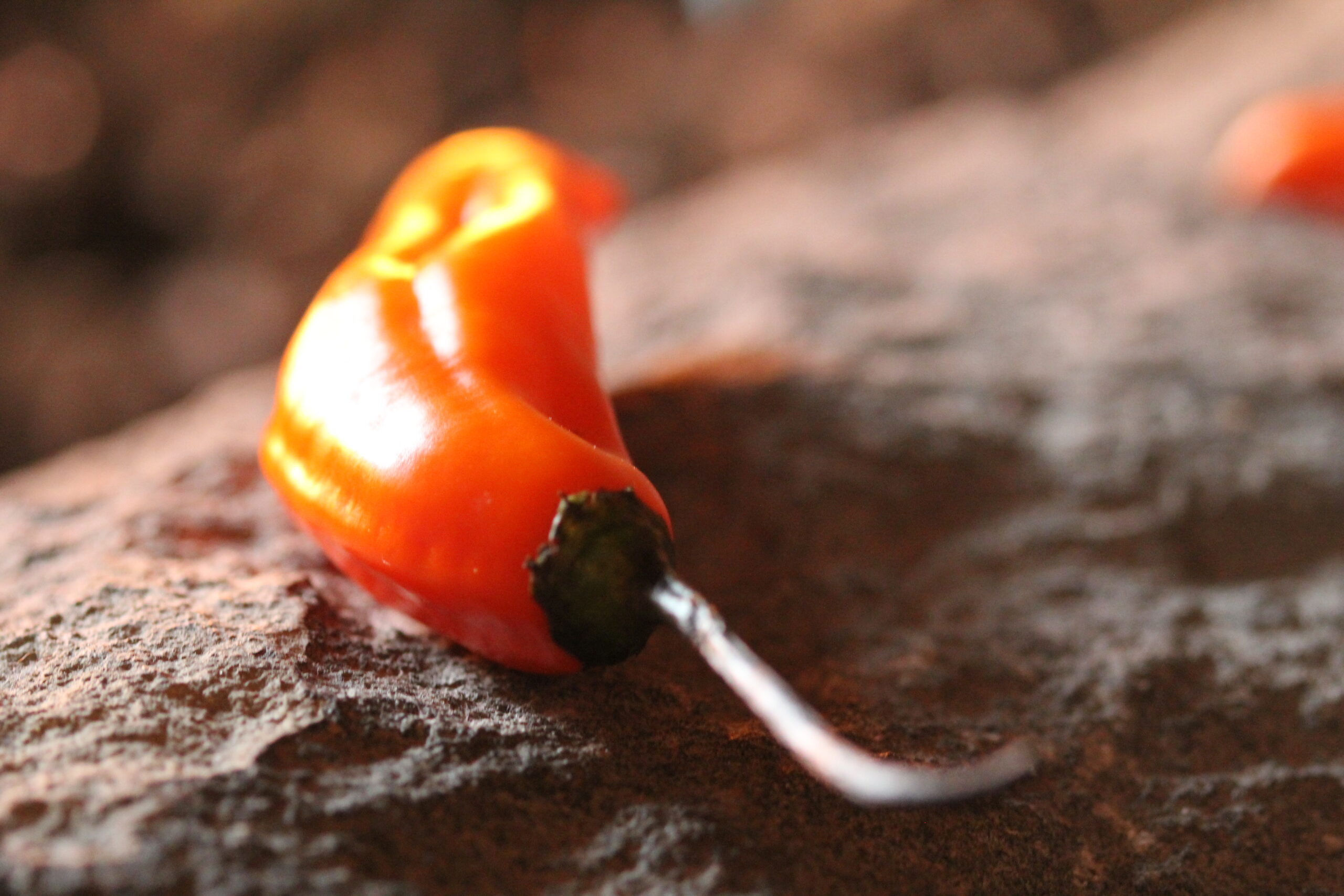 A Guide To Unique Peruvian Crops 3 aji peruano aji amarillo scaled