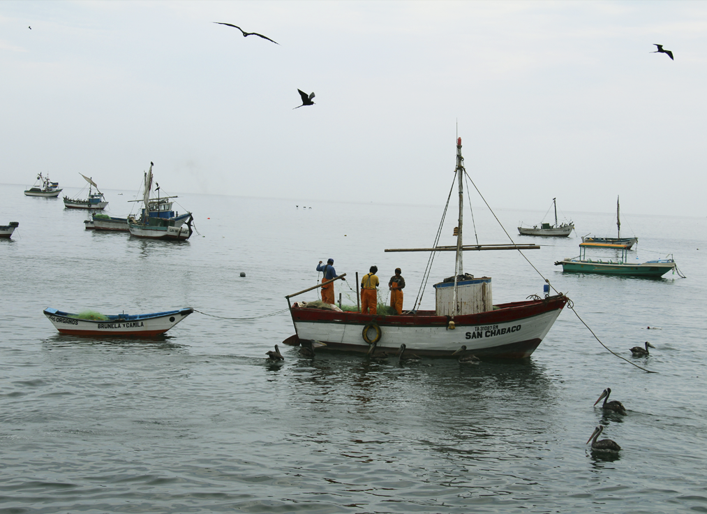 A Guide To Peru’s Northern Beaches 8 artisan fishing peru cabo blanco