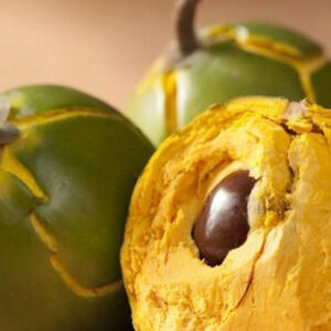A Guide To Unique Peruvian Crops 12 lucuma peru andes fruits peru