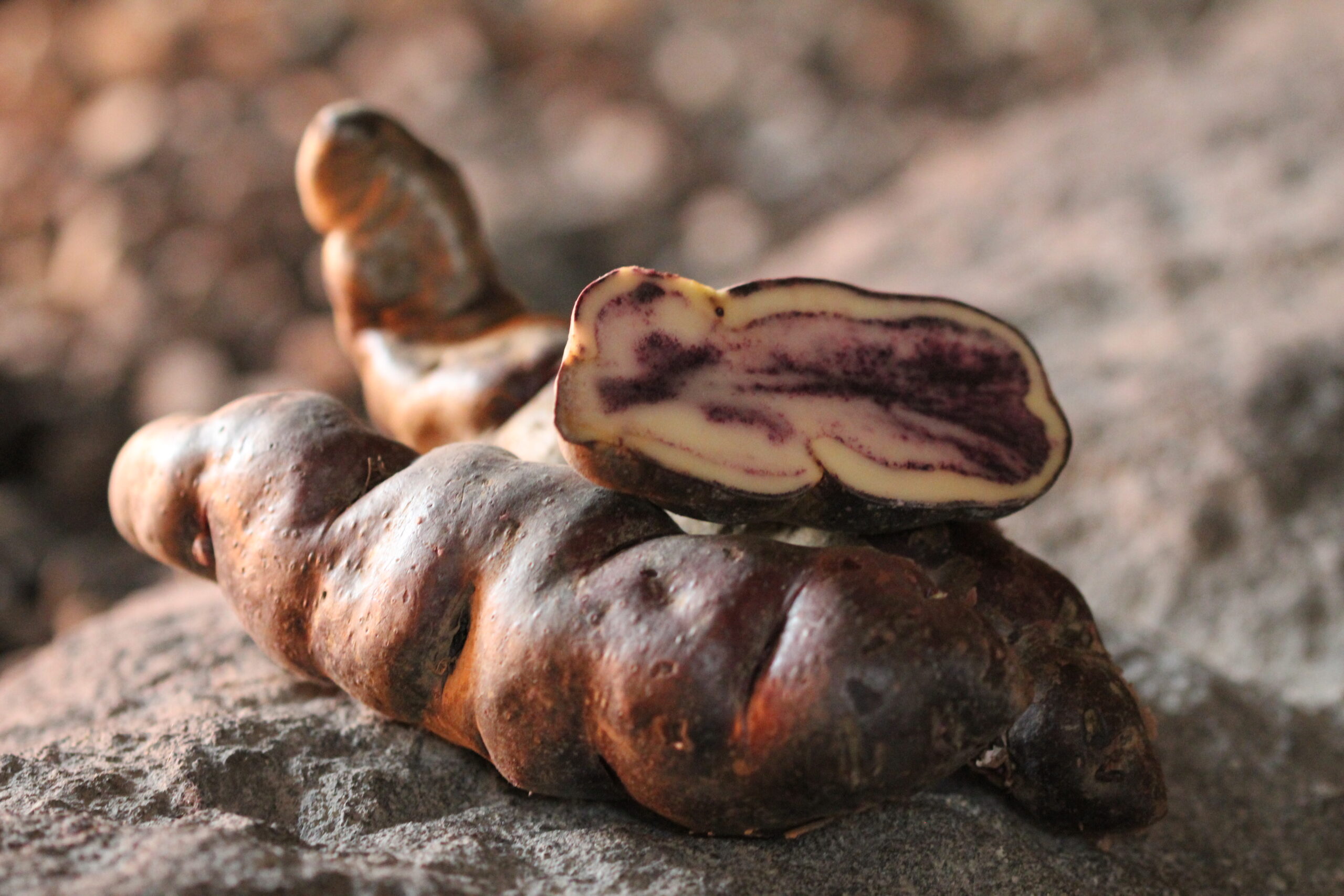 A Guide To Unique Peruvian Crops 2 papa huayro papa peru papaandina scaled