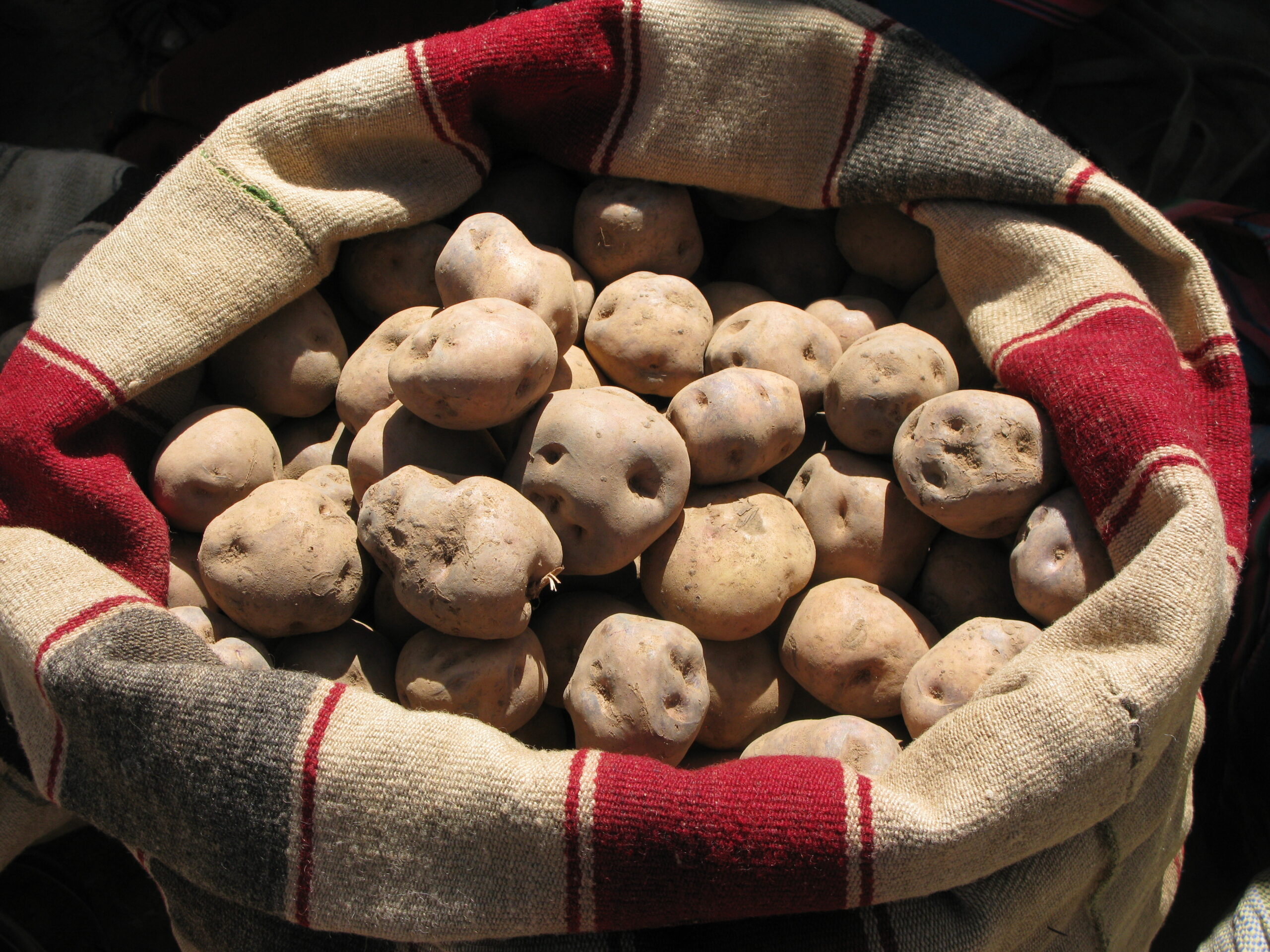 A Guide To Peruvian Potatoes 10 Peruvian Potatoes
