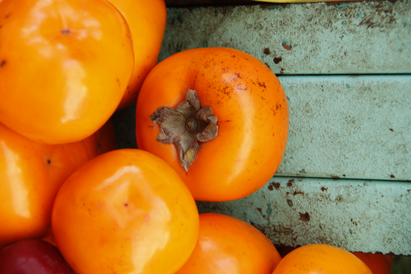 A Guide To Unique Peruvian Crops 8 tomates sachatomates agricultura peru