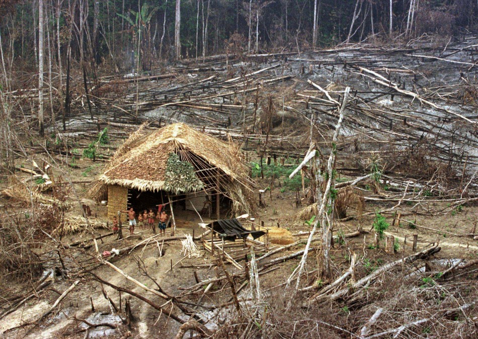 Sustainability In The Amazon 2 Amazon In Peru