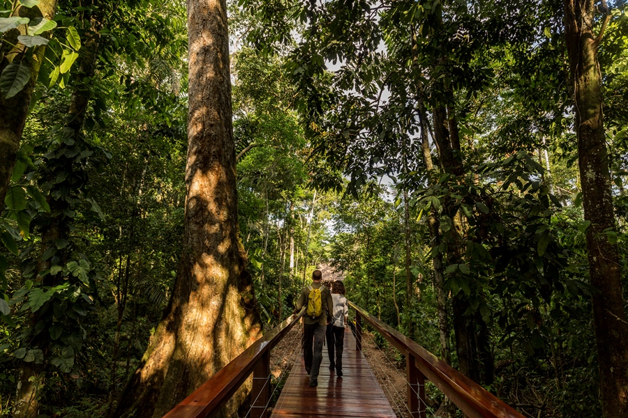 Sustainability In The Amazon 15 TRC bridges
