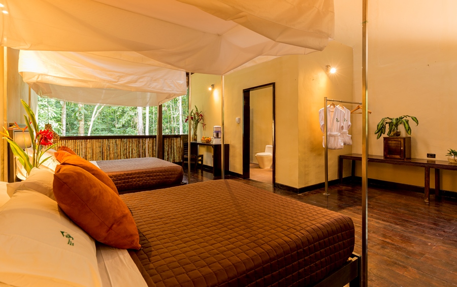 Sustainability In The Amazon 13 TRC suite