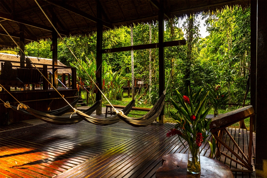 Sustainability In The Amazon 20 posada amazonas lobby