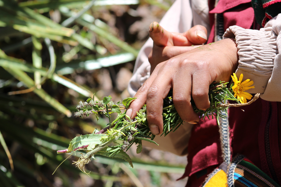 Community Based Tourism In Peru: The Achupalla Experience 4 tierra de los yachaqs 6