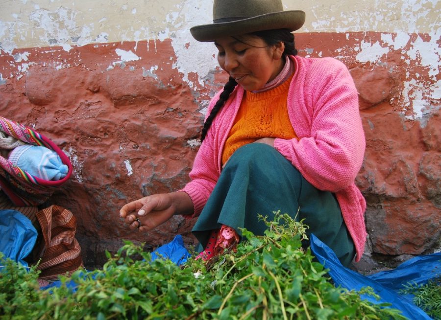 Muña tea e1561665705590