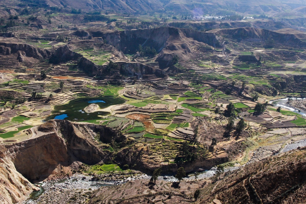 Your Guide To Things To Do In Arequipa And Colca Canyon 12 Colca Valley