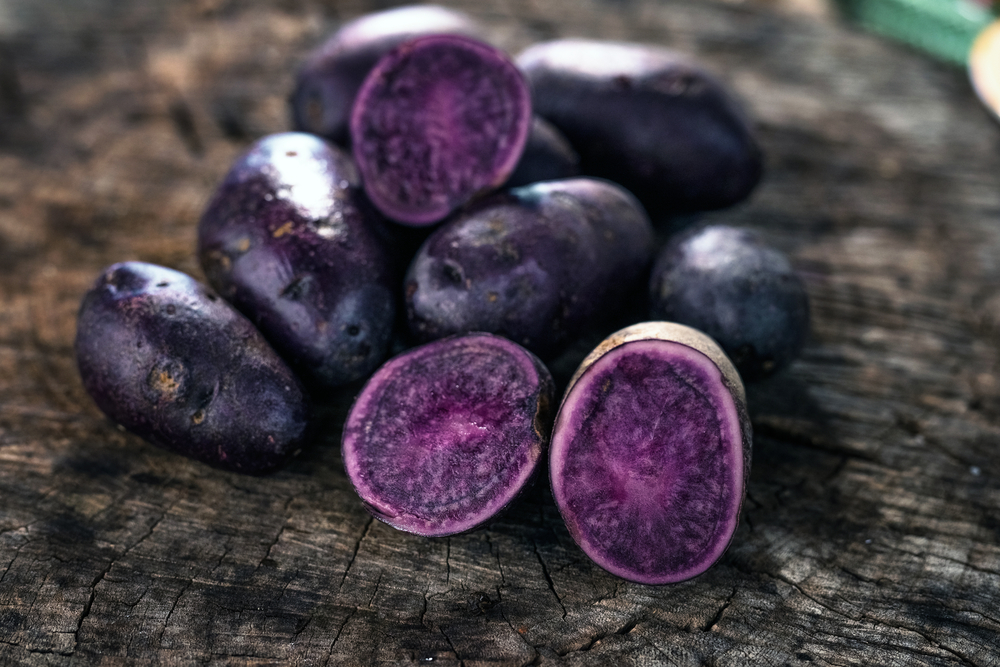 A Guide To Peruvian Potatoes 4 growing purple potatoes