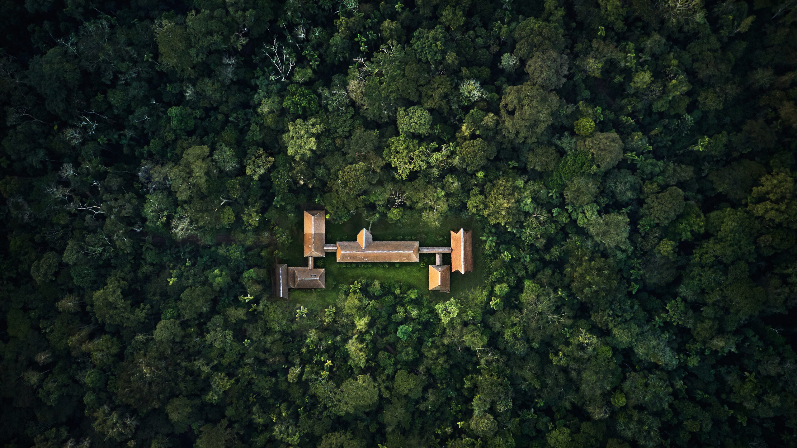 How To Plan A Trip To The Amazon: Our Expert Guide 10 Tambopata research center