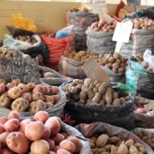 Discover Peru Through Its Food 5 papas mercado