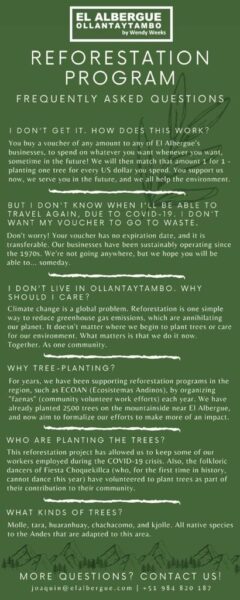 In Conversation With Joaquin Randall: How To Make Tourism More Sustainable 4 Reforestation Program FAQ