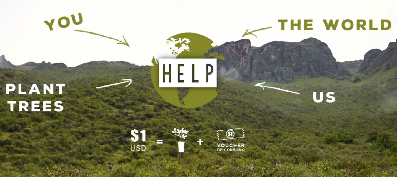 reforestation program