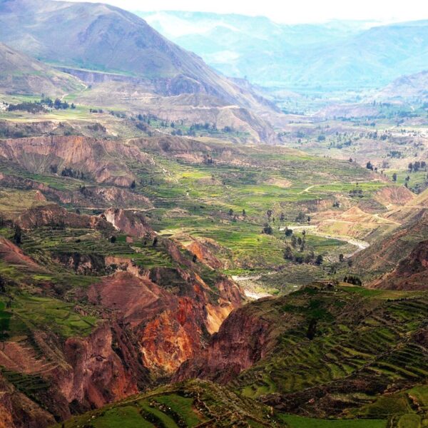 Peruvian Travel Recommendations For 2021 5 131987247 2897405313872282 749304983555112597 n