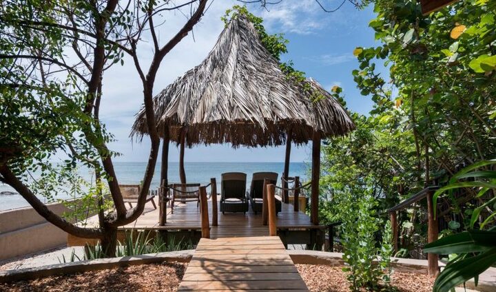 kichic e1562025146168 900x530 1